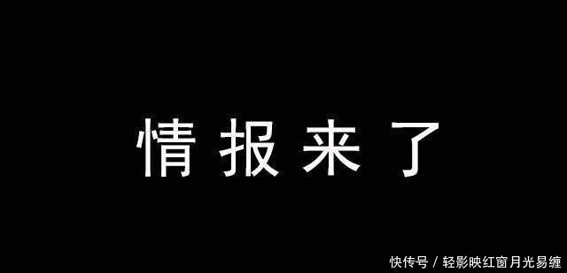 a2896|海贼王917情报图路飞霸王色物理伤害无敌，索隆展露霸王色特质