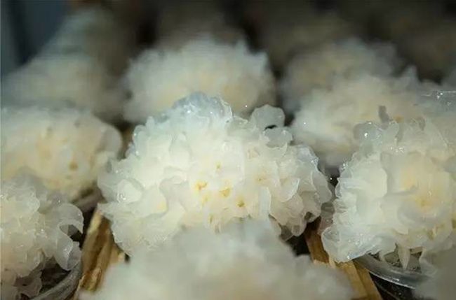 血糖控制|糖尿病的“天敌”终于被发现,经常吃点,血糖稳稳降,身体更健康