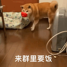 |搞笑图集:你们公司中秋发了啥?网友:发了个通知,说不放假