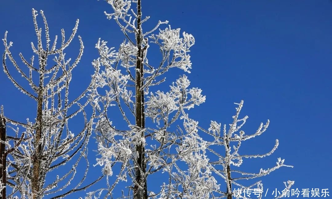 雪景|遂昌大美雪景图！让你一次看个够