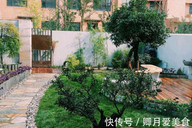 牡丹花|家有五树,儿孙都富!有院子建议栽5种树,看花,收果,寓意吉利