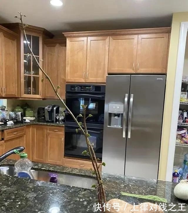 土豆|土豆发芽有多恐怖!26张照片告诉你,它才是这个星球最神奇生物