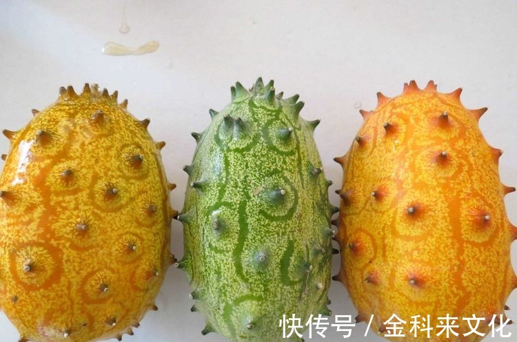 衰老|女性不想过早衰老,多吃3种食物,美容养生,身体棒棒哒!