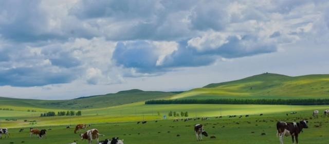 皇帝|南宋最后一个皇帝的故事