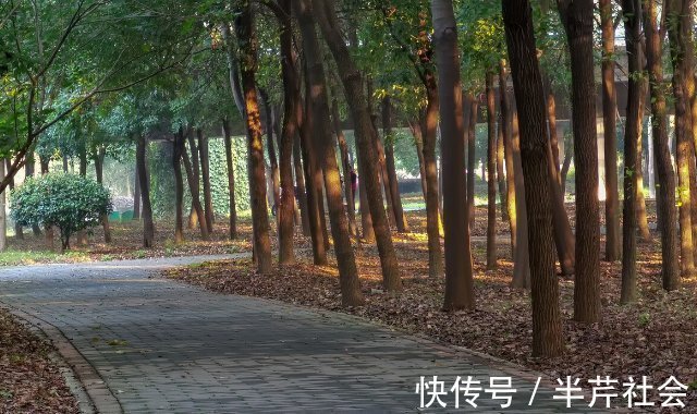 过少|胎动应该怎么数?正确的计算方法,你了解吗?