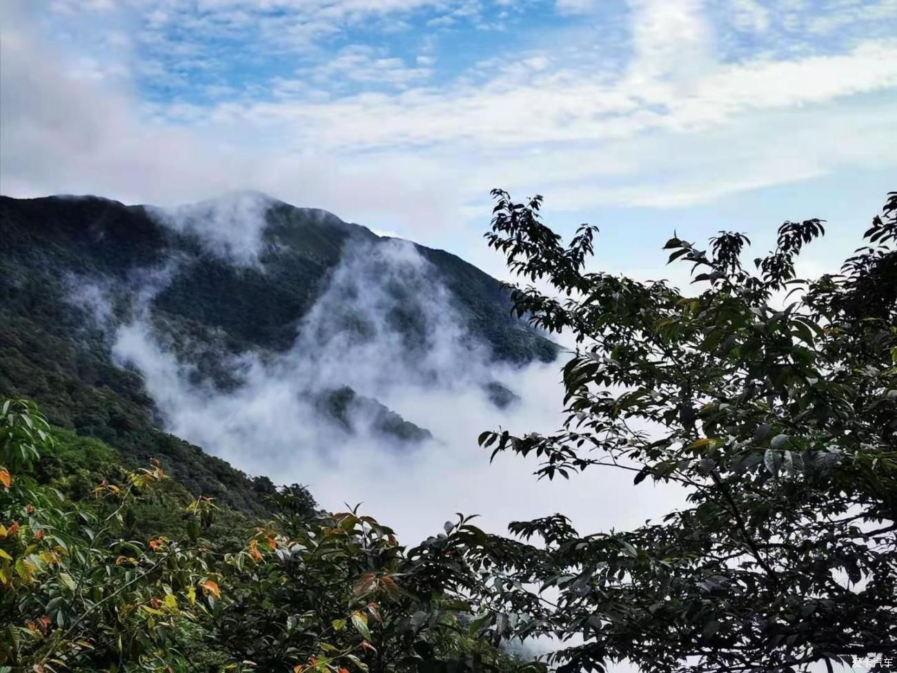 仙境-梵净山