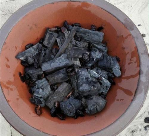 排水|养花,盆底垫什么好,6种“材料”选1种,通透性好不烂根