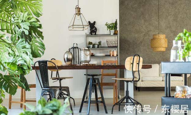 叶片|7种健康花,建议至少养一盆,格调高净化能力强,很实用