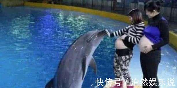 b超|孕妇去海洋馆,被海豚“吻”了肚子,医生恭喜你做了天然B超