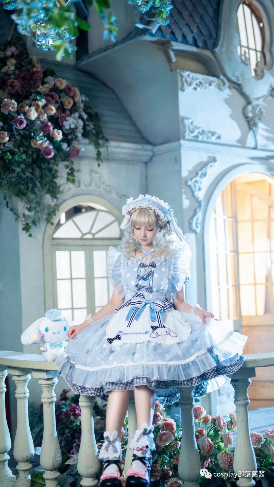 itLolita:大耳狗爱丽丝