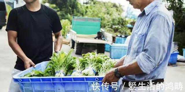 供货商|拖欠货款上亿元!国内社区团购巨头宣告破产,阿里还会继续吗?