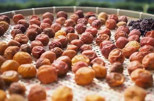 国医大师|首届国医大师陆广莘：“另有一套”的健康10法！值得所有人复制！