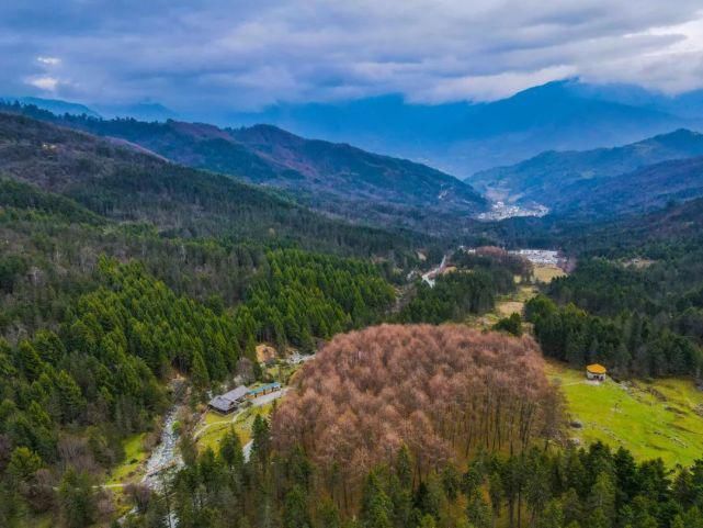 乡村|雅安5村落上榜四川乡村旅游重点村建议名单，1村落入选全国重点