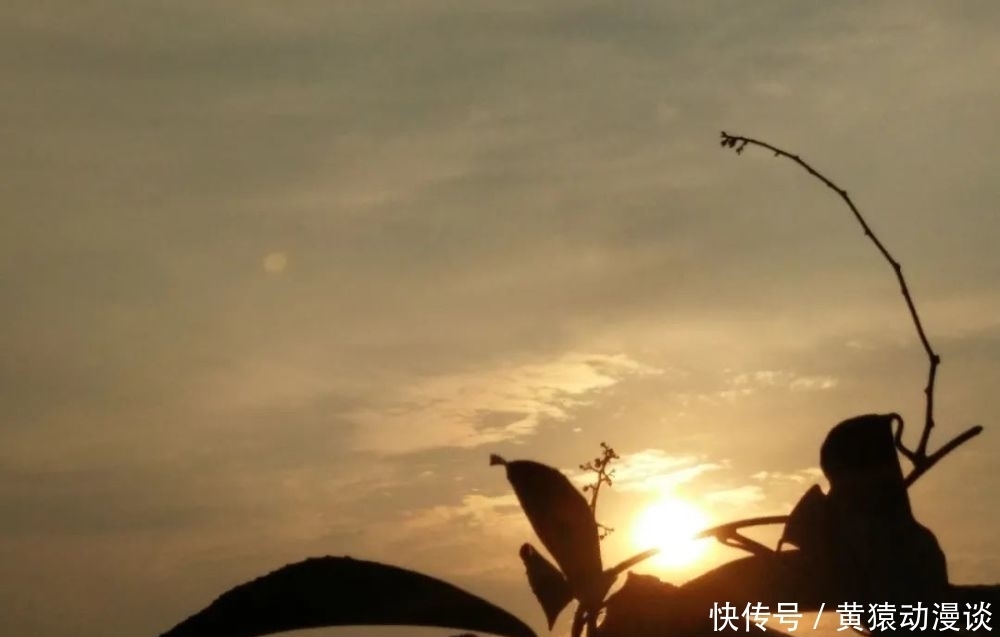 原创|自投罗网(1)