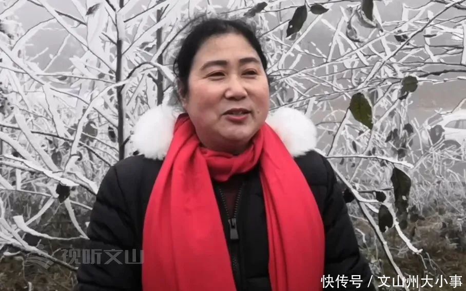 文山州这里惊现“冰雪世界”