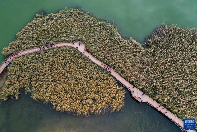 秋日居延海：碧波荡漾、群鸟飞翔|图说 | 碧波