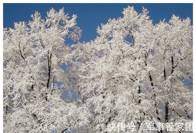 星座|这些星座的人生简单点，快乐点，就可以了