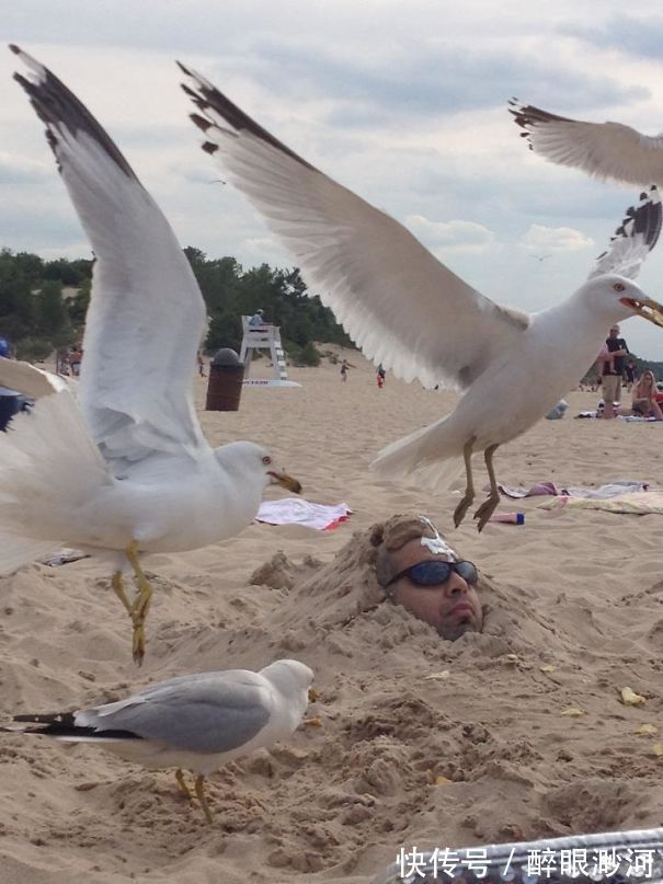 |盘点人们遇到的那些既倒霉又搞笑的时刻,看完不厚道地笑了