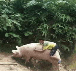 |搞笑GIF段子:神演技!不得不佩服大姐的反应!