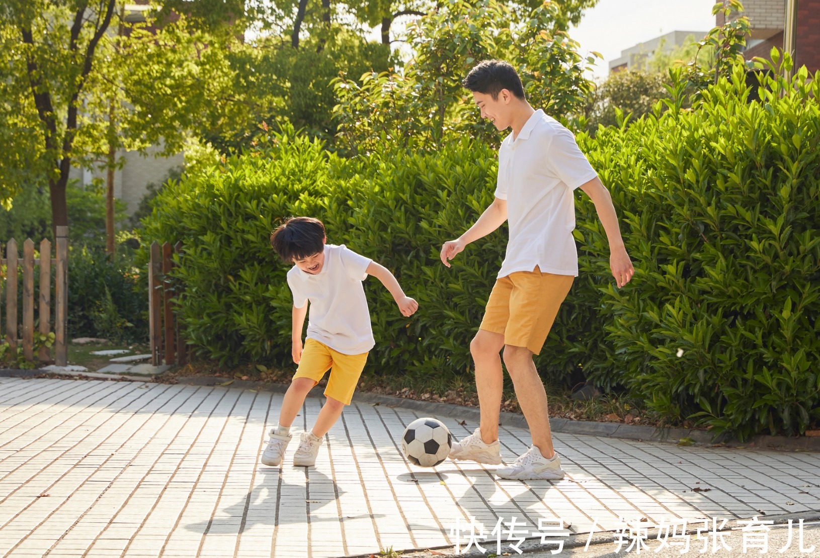 兴趣爱好|有远见的父母不会只看重分数,而是会教孩子这6种受益一生的能力