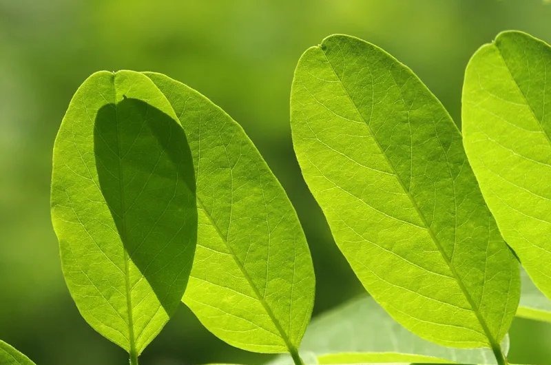 唐多令·惜别&66首惊才绝艳的古诗词,终于找全了,值得永久收藏