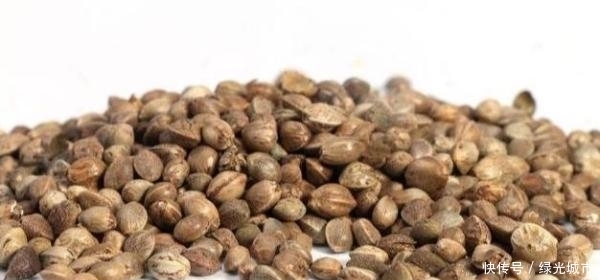 便秘吃什么通便最快？吃这些比吃药更有效，肠