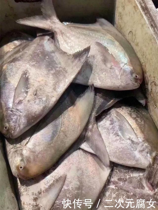 行家|以后去市场买这5种鱼,连鱼铺老板都会夸你是行家