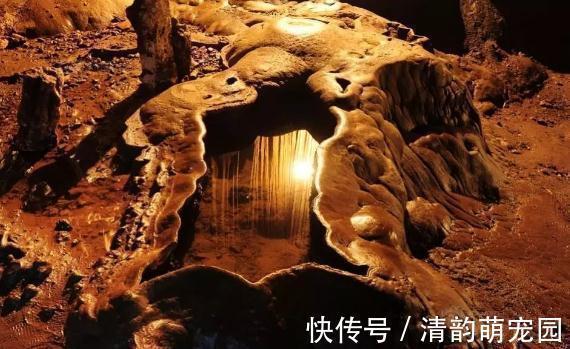 刘媪#“真龙”现世,长近13米,最粗处达6米,专家:至少存在了上亿年