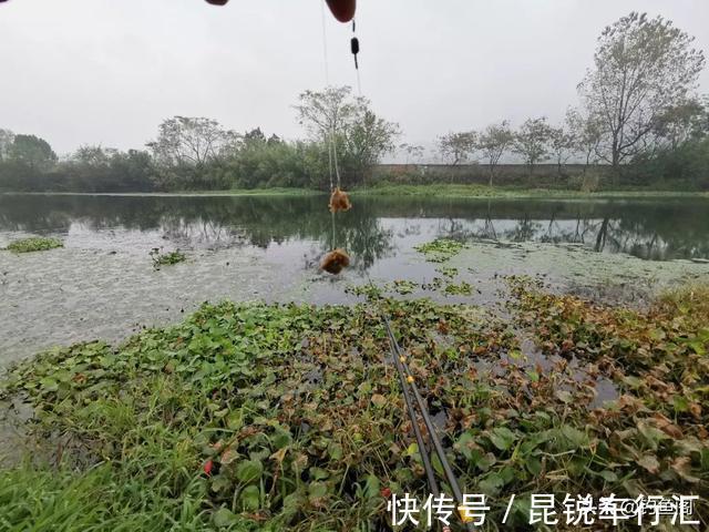 都说大降温不适合钓鱼，有人却在偷偷“发财”，实战才是王道
