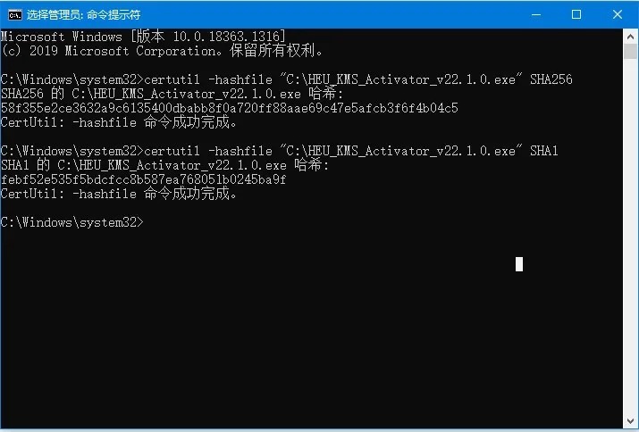 最新Win10官方原版下载(简中/英文)-HEU8