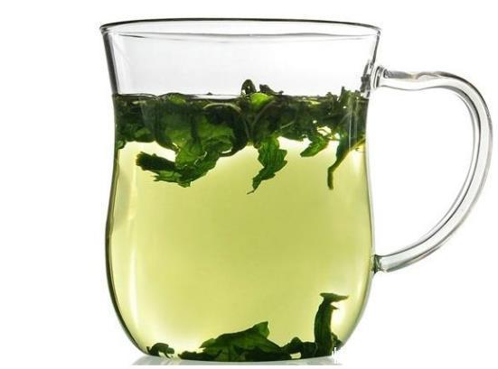  桑叶茶|一叶治百病经常用此“叶子”泡水喝，血液畅通，轻松赶走疾病