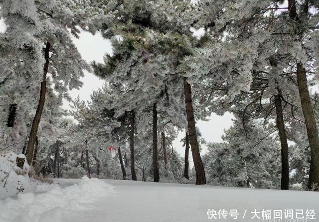 银装素裹|南太行今冬第一场雪来的是那么突然满山银装素裹