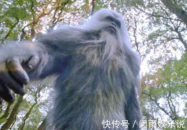 斗罗大陆|斗罗大陆电视剧泰坦巨猿不足三米,像只狒狒?天青牛蟒却令人满意