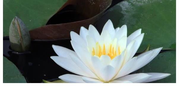 不管是做人还是做事 不能只看到眼前的利益 而应将目光放远一些 快资讯