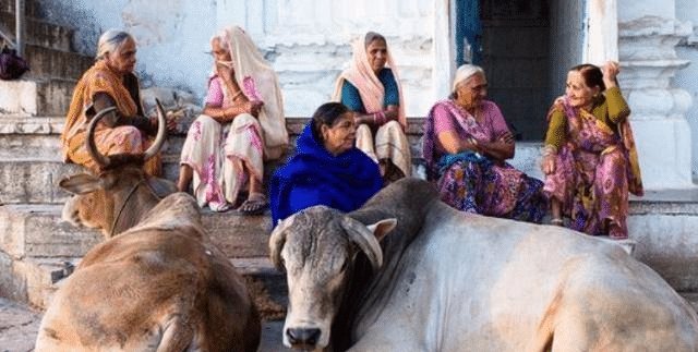  印度人|印度人不吃猪肉,也不吃牛肉,连鱼肉都很挑,那印度人吃什么肉