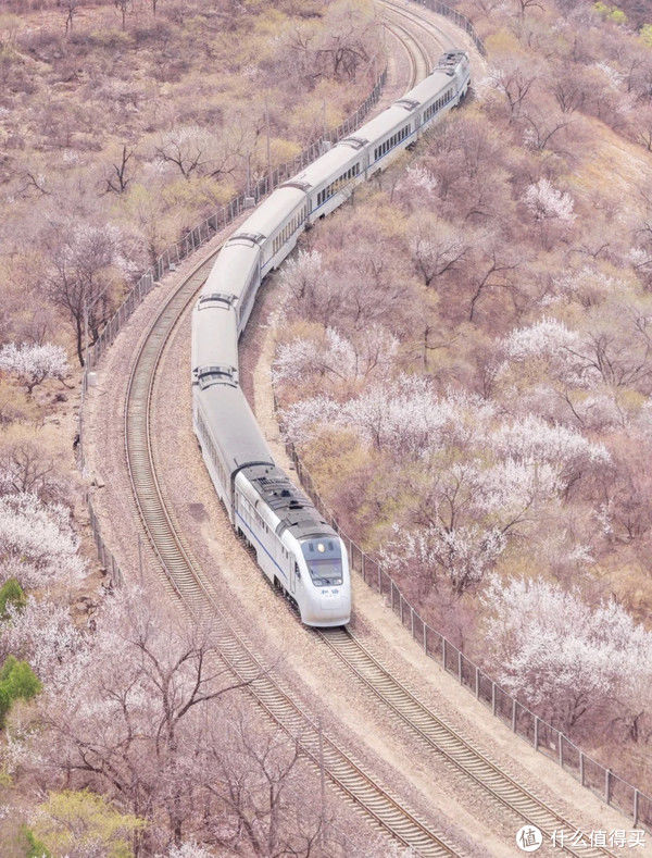 中年|全国赏花地图，花期一篇看完！再过10天，全世界都要羡慕死中国了！