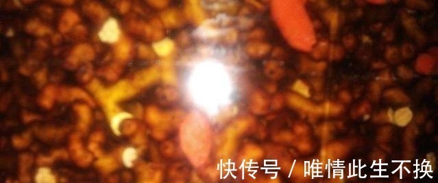 拐枣|李时珍都称它为“千杯不倒”,喝酒前吃点它,酒量会瞬间增加!