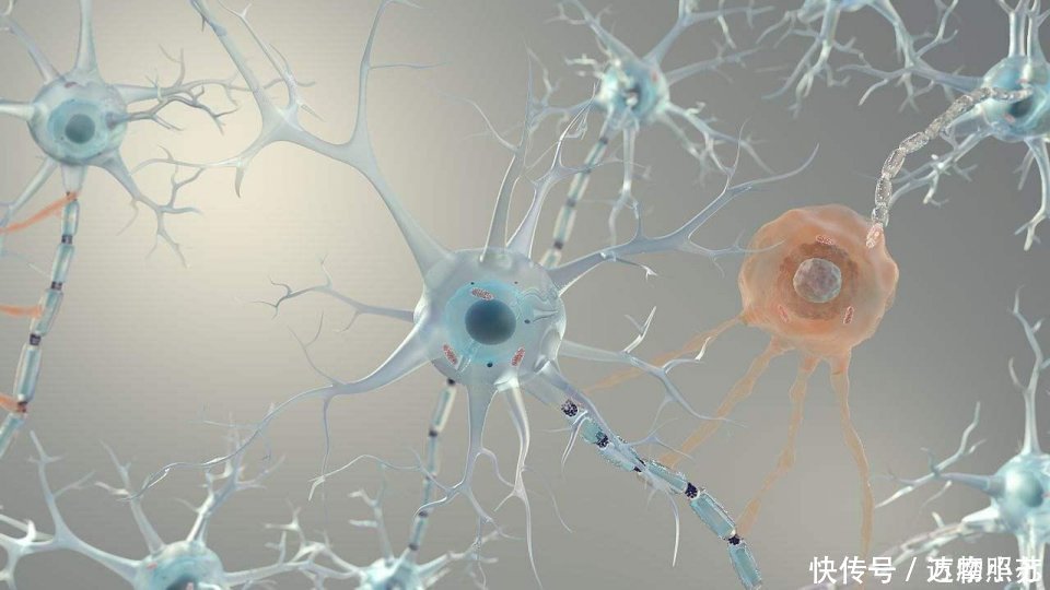 国内权威测试题很多老人都找不到18个汉字