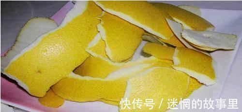 花卉|养花就用一种果皮,直接扔盆里,新芽蹭蹭冒,四季不黄叶