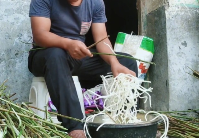 长在路边的植物,茎里藏着“白粉条”,剥出来一斤能卖五六十块钱