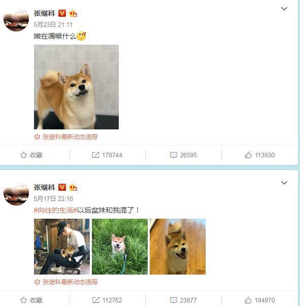 潘石屹手艺扑街何炅的话筒VS张继科的球拍，网友评价天差地别