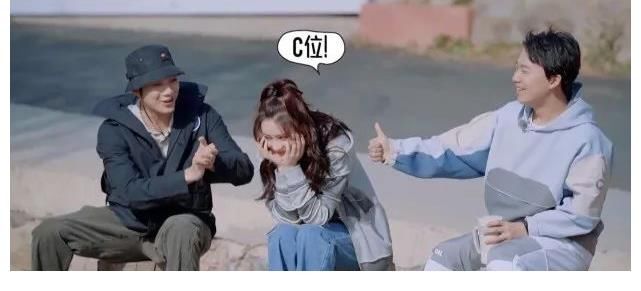 嘉賓們|《五十公里桃花塢》一檔真實(shí)的真人秀？