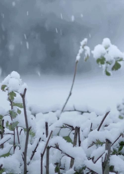  冬日|冬日听雪，一片雪花落在手，十首听雪诗词，感受古人诗意的冬天！