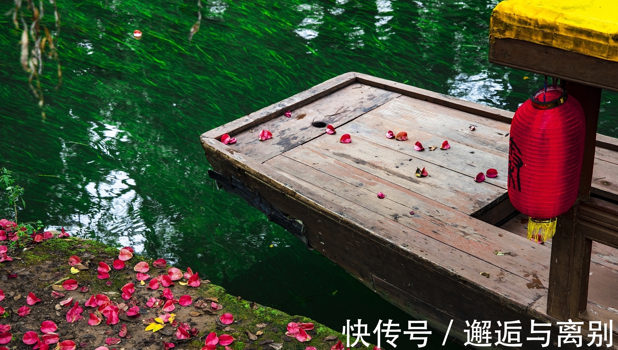 惜花&感人至深的一首诗,全篇句句有情,作者不愧被李商隐夸赞