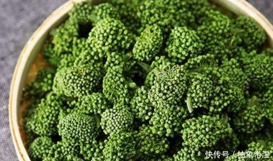城里难以吃到的4大野菜,营养秒杀保健品,吃了是宝,不吃是草!