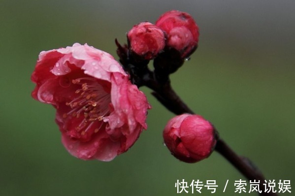 狂风雨|12生肖“财运”，与出生月份息息相关，谁是天生多财多福之人