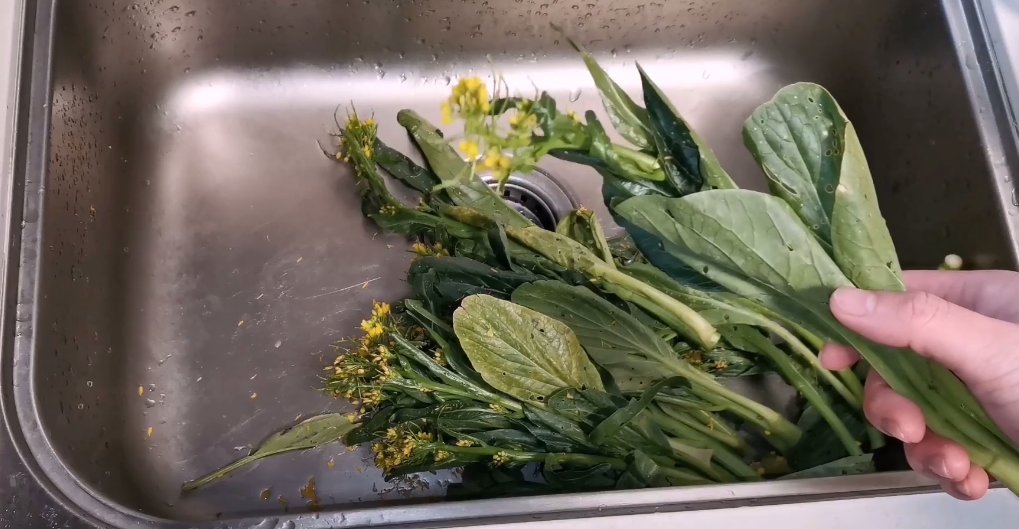 吃菜心时，顶上的小黄花要不要摘掉，老菜农告诫，别做错了