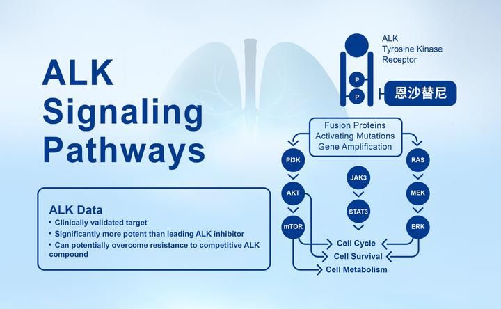  ALK|中国首款国产肺癌ALK抑制剂恩沙替尼首单出库