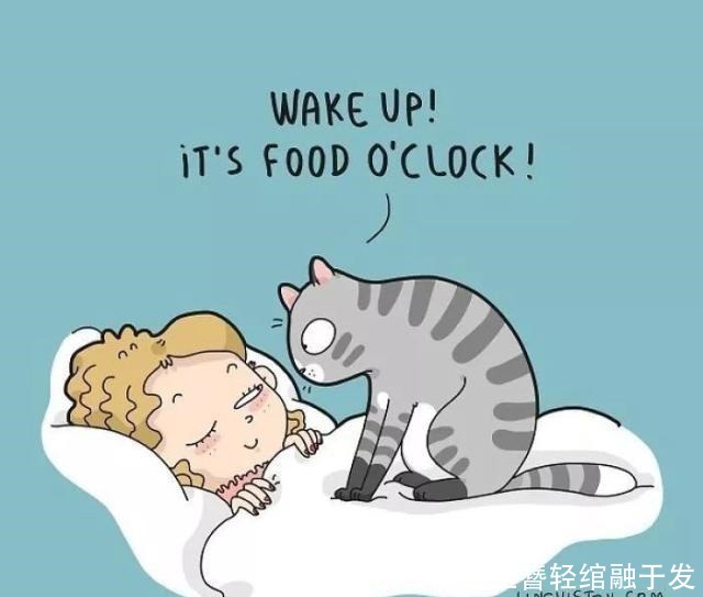 养猫|养猫很有趣吗艺术家用插画描绘出那些,搞笑又暖心的时刻