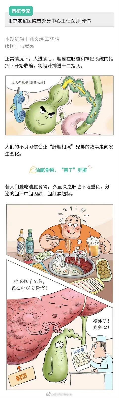 石头|胆囊是怎么被“憋”出石头的？